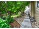 Inviting backyard with a stone pathway leading to a patio, surrounded by lush landscaping and a peaceful outdoor setting at 2868 Breezy Ln, Castle Rock, CO 80109