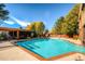 Inviting outdoor swimming pool area surrounded by mature trees and lawn chairs at 1900 E Girard Pl # 908, Englewood, CO 80113