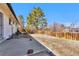 A backyard with a concrete patio, a wooden fence, and a large pine tree on a clear day at 436 Pluto Ct, Lone Tree, CO 80124