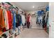 Walk-in closet featuring wall-to-wall racks for clothes, shoes, and personal items at 2186 Prairie Smoke Dr, Monument, CO 80132