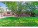 View of backyard featuring large shade trees, lush lawn, and covered patio at 6330 E Vassar Ave, Denver, CO 80222