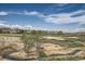 Expansive backyard featuring lush greenery and a stream in a quiet neighborhood at 3181 Firenze Pl, Highlands Ranch, CO 80126
