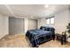 Finished basement bedroom with carpeting, closet and window at 530 Windmill Rd, Castle Rock, CO 80108