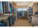 Spacious walk-in closet with ample shelving, racks, and storage space for organization at 7635 Weaver Cir, Castle Rock, CO 80104