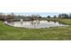 Scenic pond area with lush landscaping and a charming fountain, providing a serene atmosphere at 11481 King St, Westminster, CO 80031