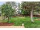 Large backyard with mature trees, lush lawn, hammock, garden area, storage shed, and privacy fence at 11502 W 101St Avenue, Westminster, CO 80021