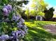 Lush backyard featuring colorful flowers, green grass, and a storage shed at 1549 S Evanston St, Aurora, CO 80012