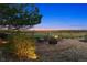 Outdoor fire pit area with seating and scenic views, perfect for evening relaxation and entertaining at 1302 Milbury St, Castle Rock, CO 80104