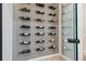 Modern wine cellar featuring a glass door and multiple racks displaying an extensive collection of wine bottles at 1302 Milbury St, Castle Rock, CO 80104
