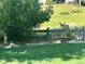 Beautiful backyard with deer, dog and wooden fence on a sunny day at 2061 Chesapeake Pl, Highlands Ranch, CO 80126