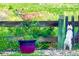 Cozy backyard with deer and dog looking at each other over a wooden fence at 2061 Chesapeake Pl, Highlands Ranch, CO 80126