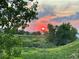 Beautiful sunset view over green meadows, bushes and mature trees at 2061 Chesapeake Pl, Highlands Ranch, CO 80126