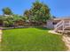 A spacious, grassy backyard with mature trees, a fence and a small deck with stairs at 1576 S Ursula Ct, Aurora, CO 80012