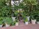 Landscaped garden with various plants and urns at 4696 S Yates St, Denver, CO 80236