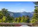 Breathtaking mountain views with lush greenery seen from the property at 22598 Westview Ave, Golden, CO 80401