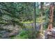 Creek view from wooded area showcasing lush greenery and the babbling brook at 805 Columbine Rd # 105, Breckenridge, CO 80424