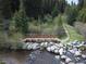 A scenic view of a wooden bridge over a creek surrounded by lush greenery and towering trees at 805 Columbine Rd # 105, Breckenridge, CO 80424