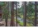 Tranquil creek flows through the forest as seen through the tall trees at 805 Columbine Rd # 105, Breckenridge, CO 80424