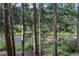 View of a peaceful creek flowing through a lush green forest at 805 Columbine Rd # 105, Breckenridge, CO 80424