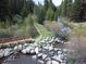 A scenic view of a wooden bridge over a creek surrounded by lush greenery and towering trees at 805 Columbine Rd # 105, Breckenridge, CO 80424