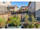 View of the property's garden area with container plants and a wood fence at 697 Gamble Oak St, Brighton, CO 80601