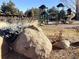 Community playground with play structures and safe surface at 1696 Avian Ct, Lafayette, CO 80026