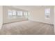Bright, carpeted bedroom featuring multiple large windows that offer natural light and great views at 8846 Waterleaf Ln, Littleton, CO 80125