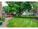 Well-maintained backyard featuring a spacious lawn, mature trees, and a charming wooden deck at 9614 W Powers Cir, Littleton, CO 80123