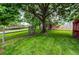 Lush backyard with green grass, mature trees, and a wooden fence that offer a relaxing atmosphere at 9614 W Powers Cir, Littleton, CO 80123
