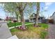 Charming home with a well-manicured front yard, mature trees, and a welcoming front porch at 800 S Krameria St, Denver, CO 80224