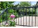 Inviting back deck with black iron railings surrounded by lush greenery and a blooming flower at 2130 Chestnut Cir, Erie, CO 80516