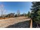 Open backyard with a wood fence and large trees in the distance providing privacy, beauty, and shade at 16590 Hitching Post Cir, Parker, CO 80134