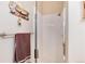 Bathroom shower featuring tiled walls and a glass shower door at 1374 Spotted Owl Way, Highlands Ranch, CO 80129