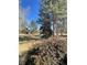 View of a grassy yard featuring mature pine trees at 6585 W 84Th Way # 109, Arvada, CO 80003