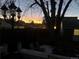 Evening view of backyard with trees and shed at 3311 S Logan St, Englewood, CO 80113