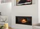 Modern gas fireplace set in a white wall, hardwood floors and neutral tones at 845 Eudora St, Denver, CO 80220