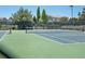 Two tennis courts with green surface and fencing at 1428 S De Gaulle Ct, Aurora, CO 80018