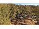 Secluded cabin enveloped by lush forest, offering privacy and a picturesque setting at 121 Mary Beth Rd, Evergreen, CO 80439