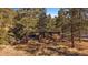 Charming log cabin nestled among the trees, featuring a stone foundation and natural landscaping at 121 Mary Beth Rd, Evergreen, CO 80439