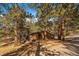 Charming cabin nestled among tall trees, featuring wood siding and a tranquil setting at 121 Mary Beth Rd, Evergreen, CO 80439