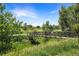 Bridge surrounded by vibrant greenery at 2525 S Dayton Way # 1510, Denver, CO 80231