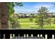 Scenic golf course view with lush green fairways, mature trees, and beautiful mountain backdrop from the deck at 2525 S Dayton Way # 1510, Denver, CO 80231
