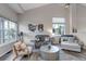 Bright living room with large windows, plush seating, a textured rug, and modern decor at 12430 S Downy Creek Ct, Parker, CO 80134