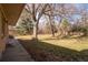 Spacious backyard with large shade trees and patio space at 430 Long View Ct, Longmont, CO 80501