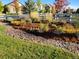 Landscaped yard with mature plants and rock at 3705 Yale Dr, Broomfield, CO 80023