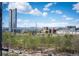 Sweeping view showcasing the park, bridges, Denver skyline, and distant mountains at 1700 Bassett St # 609, Denver, CO 80202