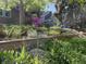 Charming landscaping with plants, flowers, and well-maintained wooden garden boxes at 2232 S Ogden St, Denver, CO 80210