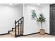Basement stairs with black railing and trim, plus a potted plant near a black door at 3275 W Hawthorne Pl, Denver, CO 80221