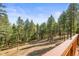 A view from the back deck to the tree-covered backyard at 20957 Horse Bit Way, Morrison, CO 80465
