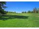 A lush green park with a distant building, ideal for recreation and relaxation at 1144 N Ogden St # 304, Denver, CO 80218